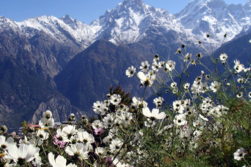 Shimla Kinnaur Spiti Manali 