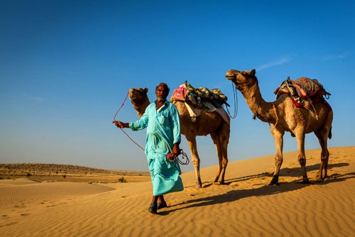  Rajasthan Darshan